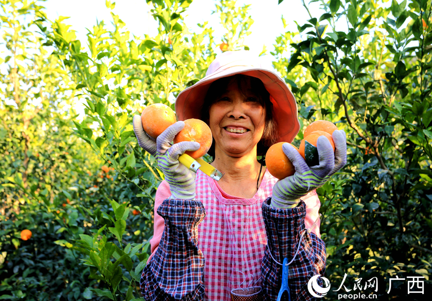 果農(nóng)展示剛采摘的沃柑。人民網(wǎng)記者 王勇攝