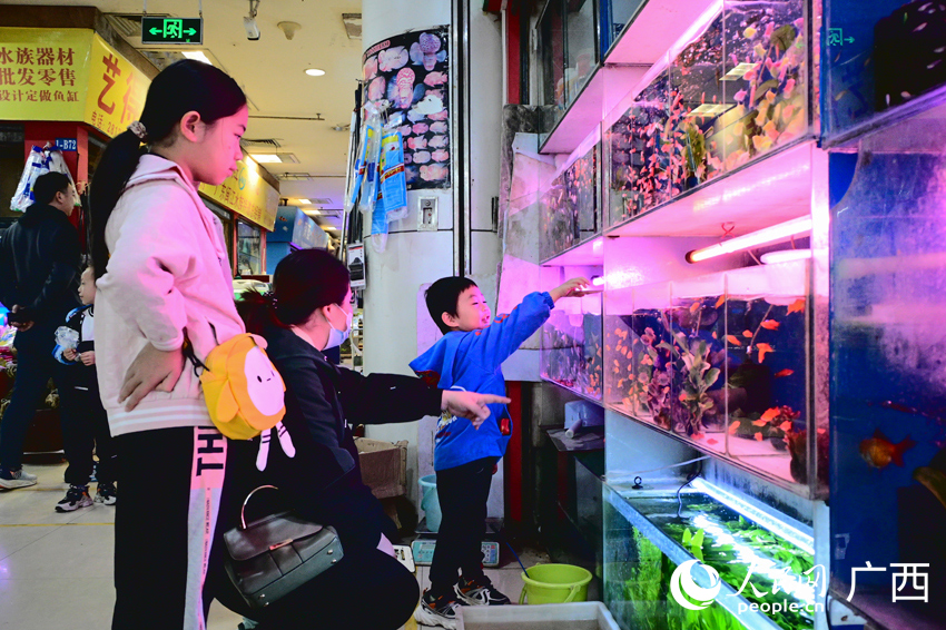 市民正在挑選小魚(yú)。人民網(wǎng) 雷琦竣攝