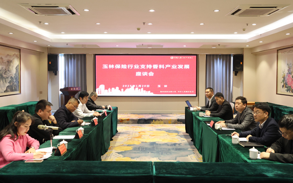 座談會(huì)現(xiàn)場(chǎng)。曹容攝