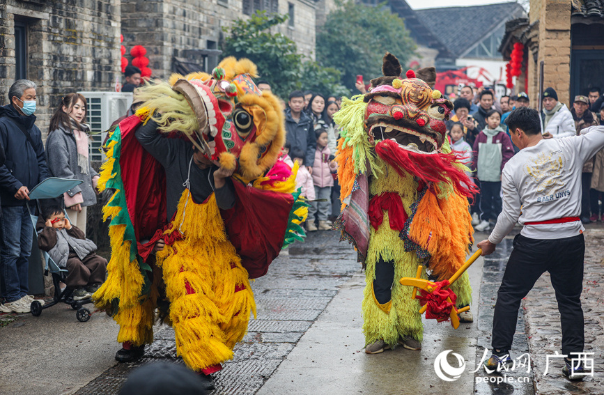 演員們正在進(jìn)行舞獅表演。人民網(wǎng)記者 陳燕攝