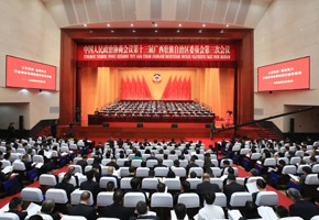廣西壯族自治區(qū)政協(xié)十三屆三次會(huì)議舉行第二次全體會(huì)議