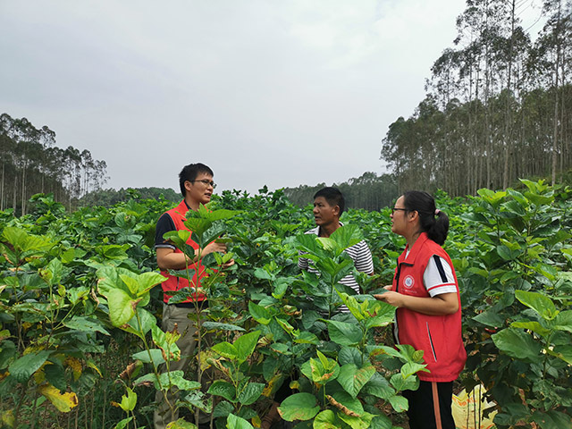 在甘棠鎮(zhèn)那冷村實地指導(dǎo)蠶?；亟ㄔO(shè)。