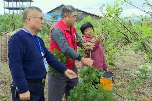 全州：下好“三步棋” 走穩(wěn)共富路