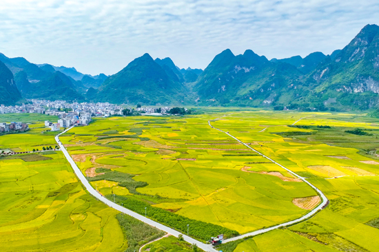 沙里大壩2000畝稻花飄香