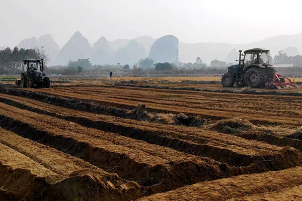 大型農機正在田里來回穿梭整地。