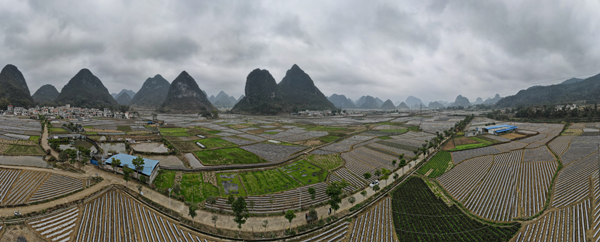 生機(jī)勃勃的春耕畫(huà)卷