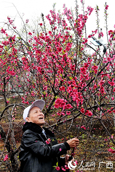 游客在羅城天河鎮(zhèn)彩虹谷桃花島內(nèi)自拍。