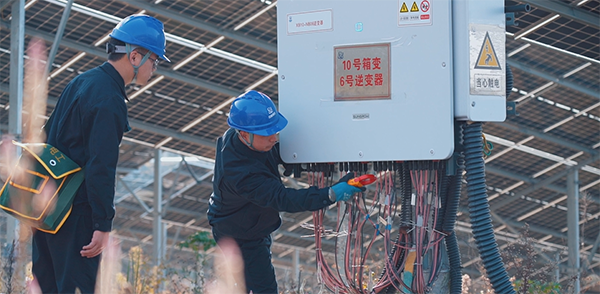 工人在測量逆變器組串支路電流情況。謝羽婕攝