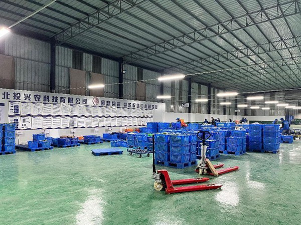 北投興農(nóng)公司食材配送倉庫。梁希林