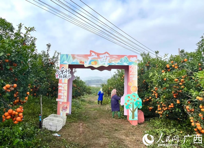 活動(dòng)現(xiàn)場(chǎng)。人民網(wǎng) 韋歡攝