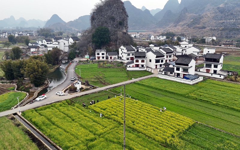 油菜花扮靚村莊。王孝強攝