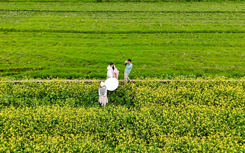 游客在拍照。王孝強攝