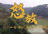 《怒放》-獻(xiàn)給女地質(zhì)隊(duì)員的詩(shī)