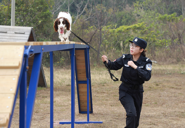 鄒敏和“番喜”一起訓(xùn)練。
