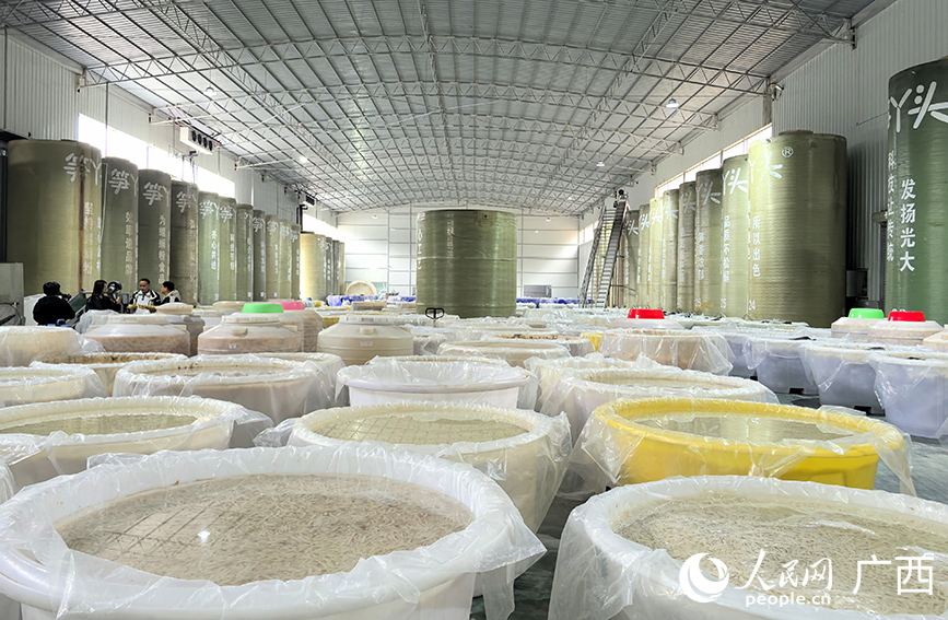 酸筍加工車間。人民網(wǎng) 付華周攝