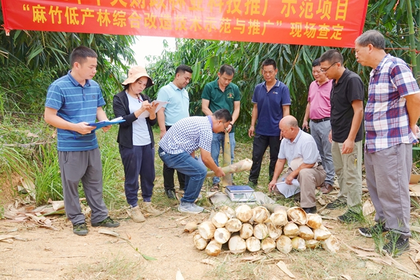 3.專家組在項目實施地點鹿寨鎮(zhèn)石路村新建屯進(jìn)行現(xiàn)場查定。