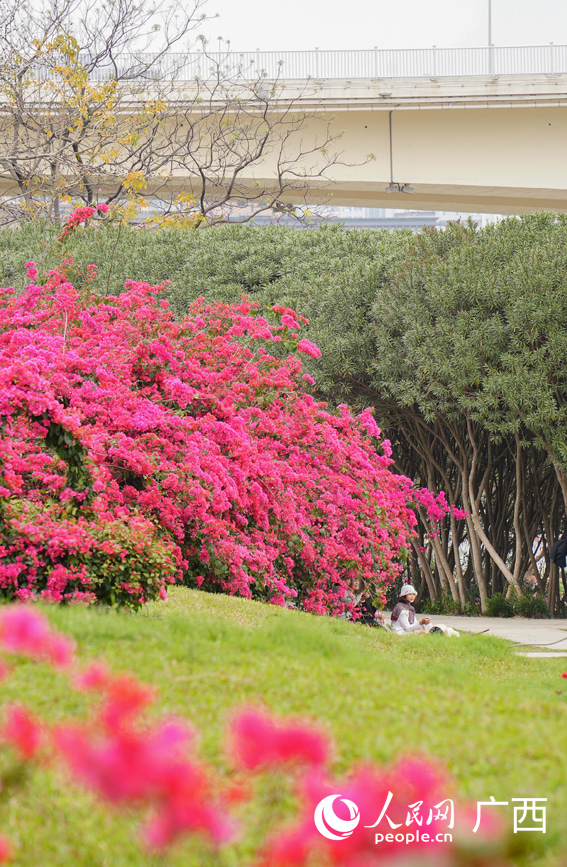 市民盡享春日好時(shí)光。