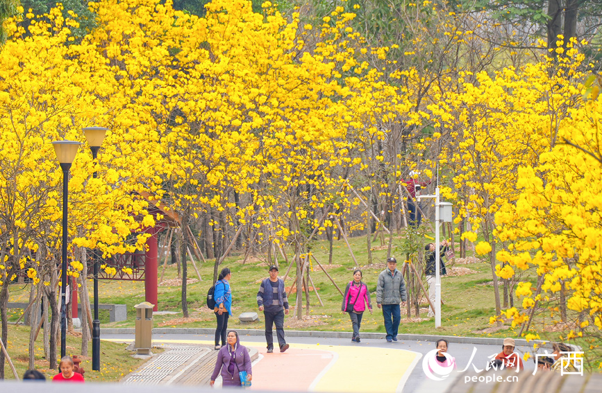 公園里休閑漫步的市民。