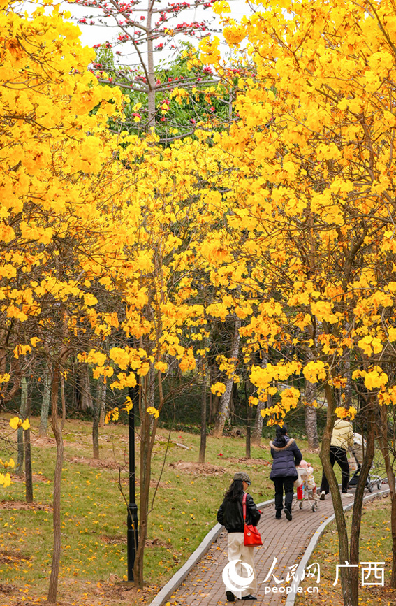 市民漫步公園。