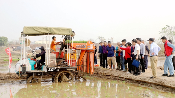 新型水稻有序拋秧機(jī)吸引多人前來(lái)觀摩學(xué)習(xí)(甘益江 攝).jpg