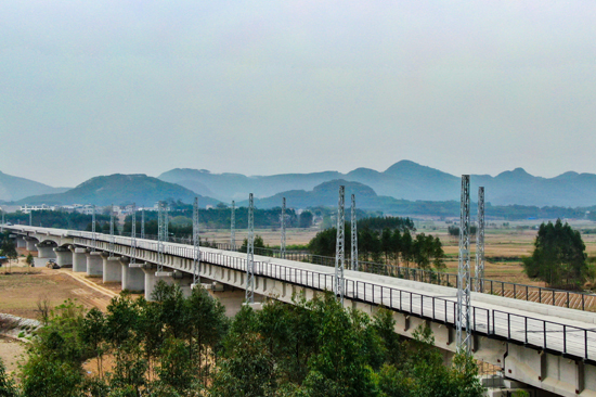 接觸網(wǎng)支柱比肩而立。白一男攝