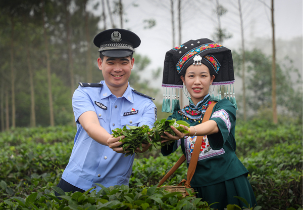 民警與群眾手捧新鮮采摘的垌美綠茶。唐運鵬攝