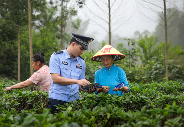 民警在茶園中宣傳反詐知識。唐運鵬攝