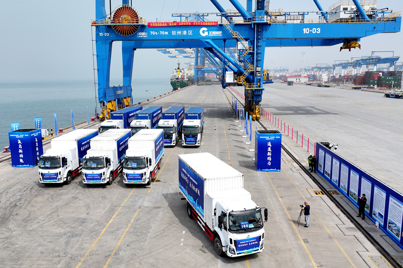 活動(dòng)現(xiàn)場(chǎng)。趙冠雄攝