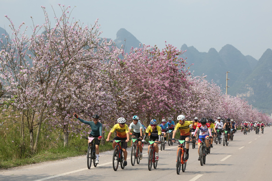 參賽選手畫中游