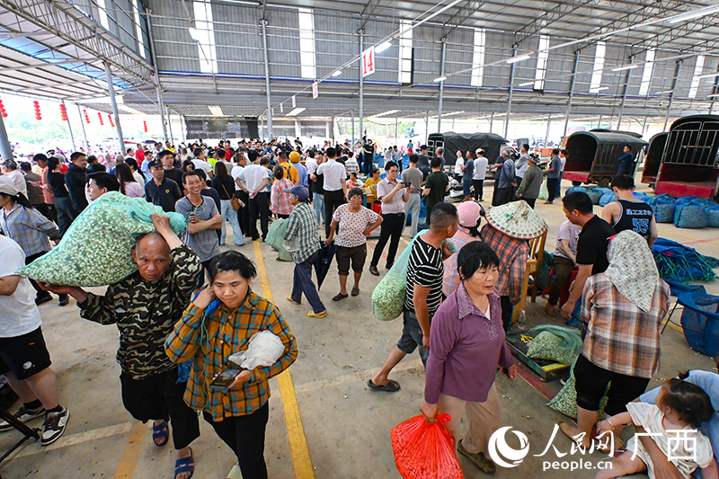 茉莉花交易市場十分熱鬧。人民網(wǎng) 雷琦竣攝