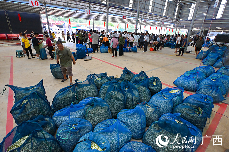 開市不到半個(gè)小時(shí)，已經(jīng)成交了不少茉莉花。人民網(wǎng) 雷琦竣攝