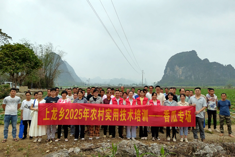 上龍鄉(xiāng)舉辦香瓜種植技術(shù)培訓(xùn)班。