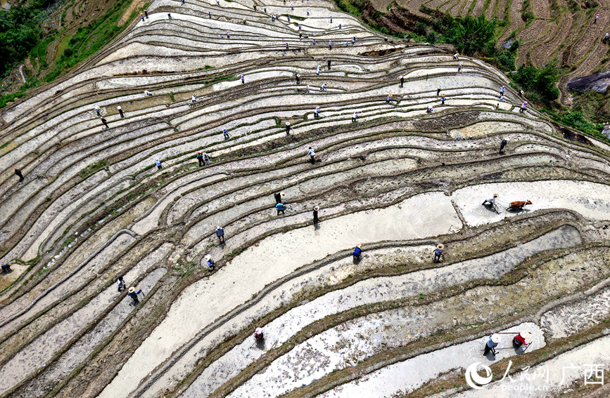 村民在梯田上開展農(nóng)耕勞作。