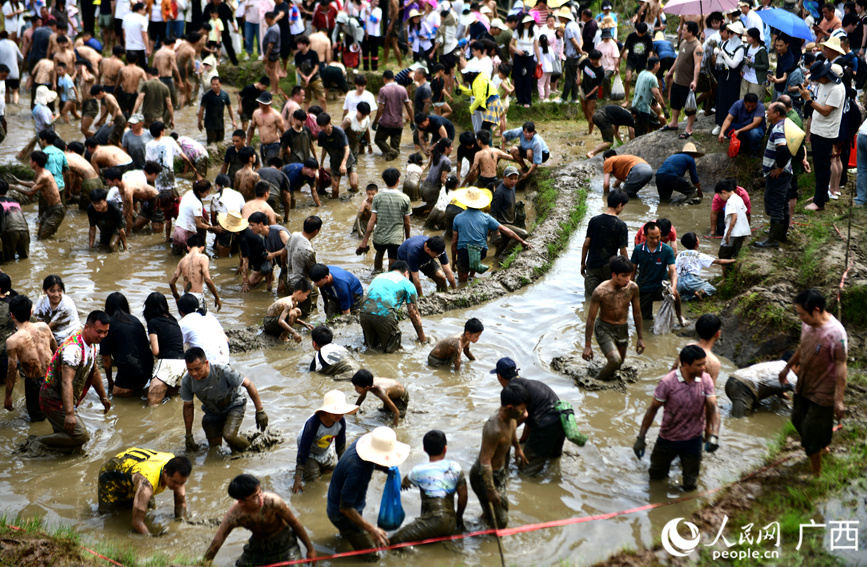 游客在梯田上參加“渾水摸魚”活動。