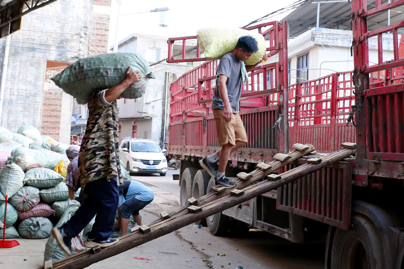 青梅裝車(chē)。