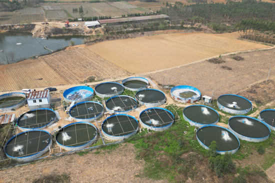 整齊排列的陸基圓池