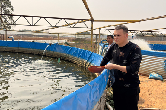 養(yǎng)殖戶正在觀測魚類生長情況