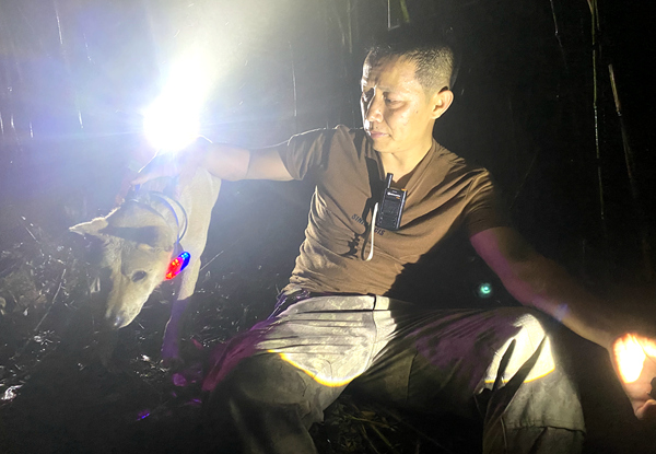 警犬“毛毛”引導(dǎo)救援隊員前行。警方供圖