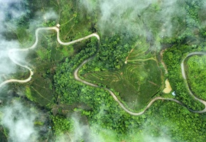 鄉(xiāng)村振興路