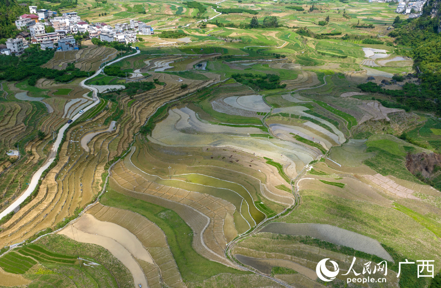 層層梯田美如畫。
