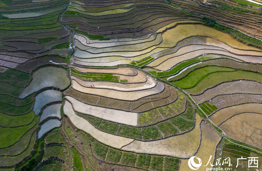 層層疊疊的梯田。