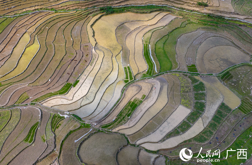 層層疊疊的梯田美如畫。