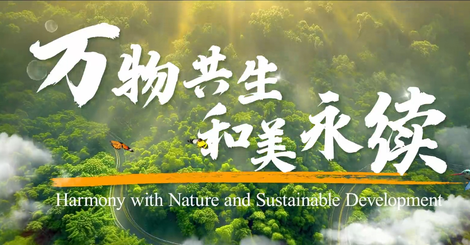 2025年國際生物多樣性日主題宣傳片