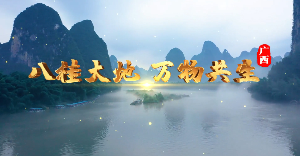 保護生物多樣性?主題宣傳片| 廣西篇