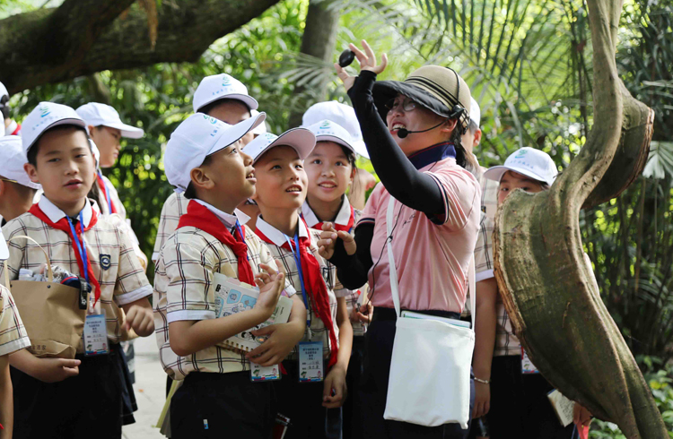 南寧市虹橋小學(xué)學(xué)生走進(jìn)廣西藥用植物園，探索藥用植物的奇妙世界。
