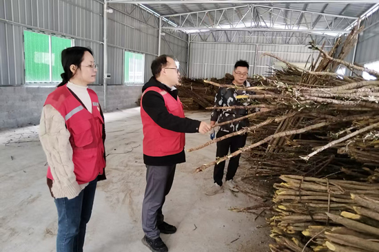 雙達(dá)村第一書記馮仕恒（中）和工作隊(duì)員在了解村級中藥材廠藥材收購情況。羅希海攝