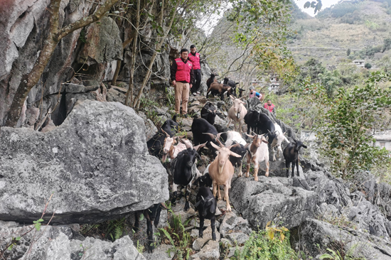 初化村第一書記李林（前）和工作隊(duì)員進(jìn)屯走訪。羅希海攝
