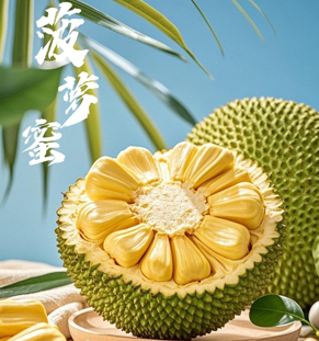 菠蘿蜜菠蘿蜜，果實巨大，外皮呈黃綠色，表面有粗糙的六角形瘤狀凸起，剝開厚重的外皮，內(nèi)部是金黃飽滿的果肉，散發(fā)著濃郁的甜蜜果香，口感柔軟甜潤、香氣馥郁。菠蘿蜜富含維生素、蛋白質(zhì)、礦物質(zhì)等，營養(yǎng)豐富且用途多樣，既可直接鮮食，也可加工成干果、罐頭或甜品。