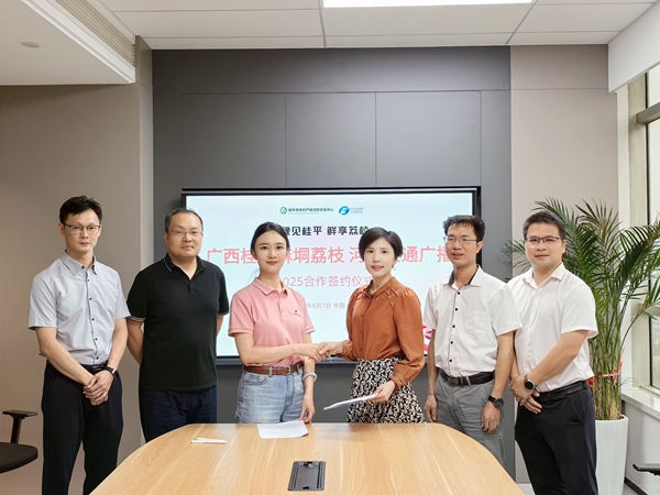 雙方簽約后，桂平荔枝將大規(guī)模走進(jìn)中原市場。