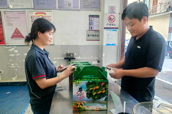 果農(nóng)正在郵寄牛心李。周俊位攝